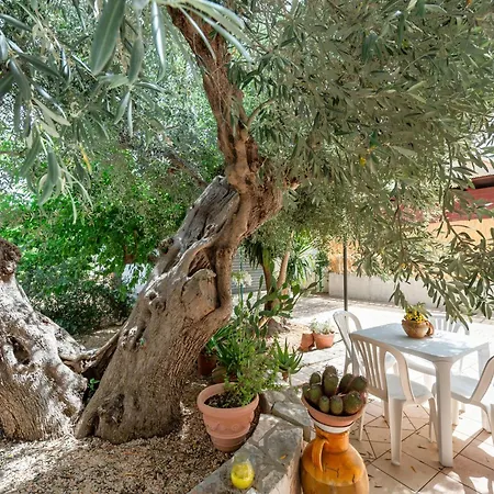 Rosa By Rentbeat * Montalbano (Apulia)